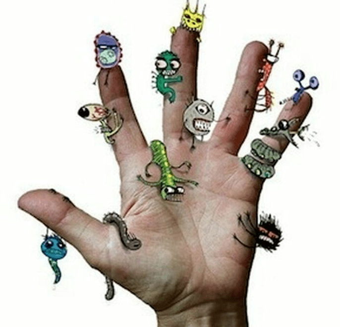 Hogyan lehet fertőzni parazitákkal