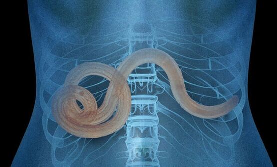 parazita az emberi szervezetben